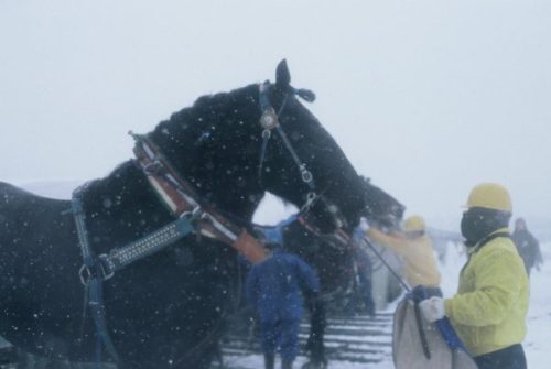 レース風景・帯広競馬場